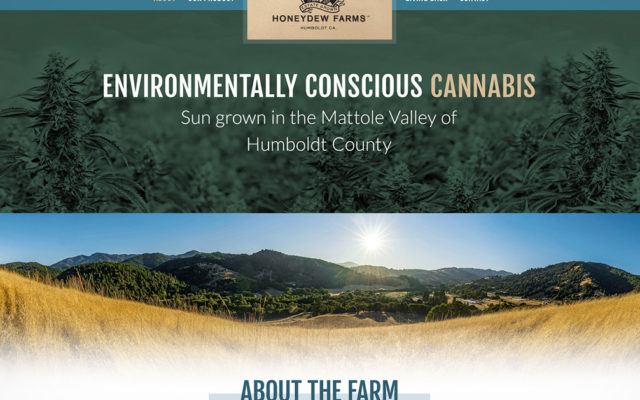 Honeydew Farms website feature thumbnail