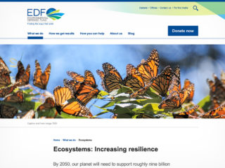 EDF.org Redesign