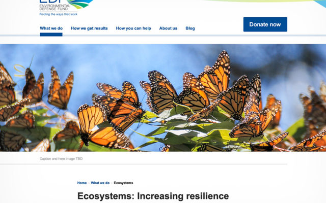 2018 redesign feature article