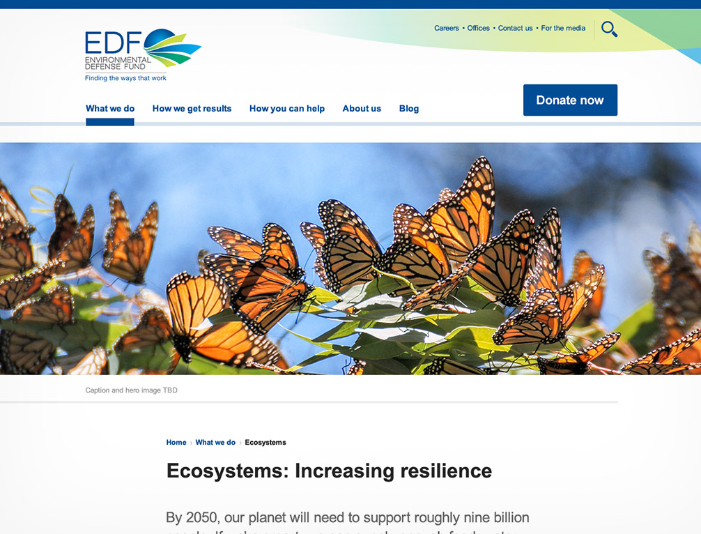 2018 redesign feature article